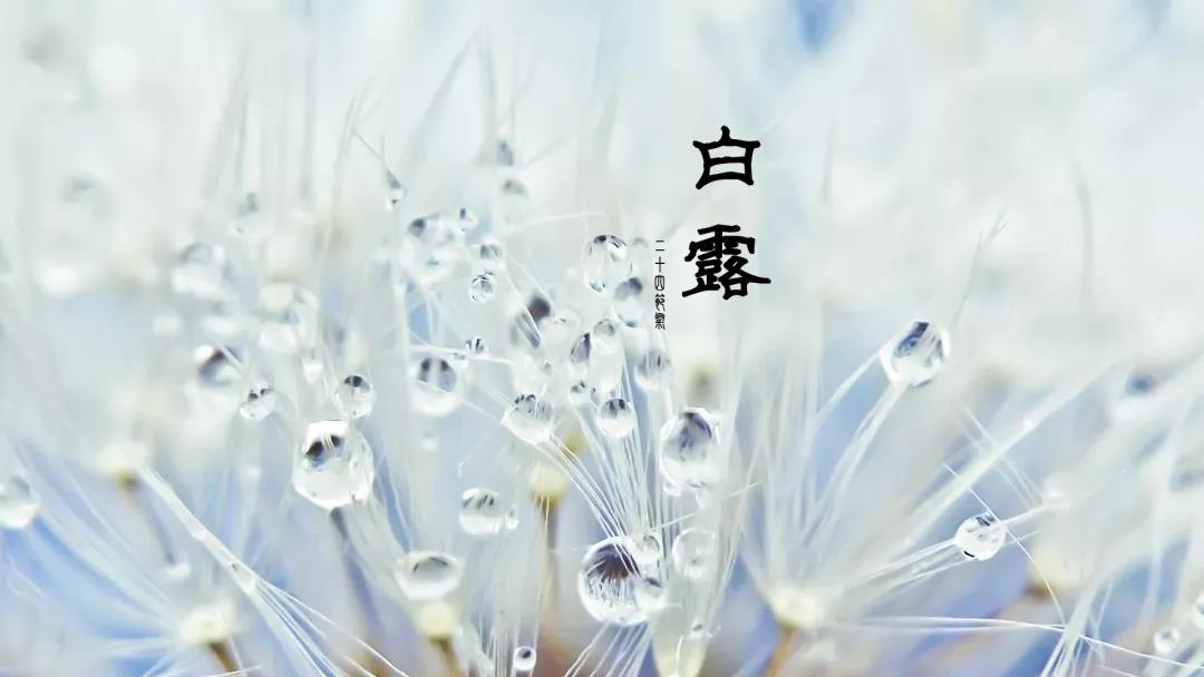 微信图片_20210916110442